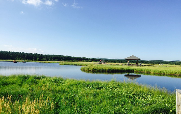 草色湖光 政林 攝于塞罕壩